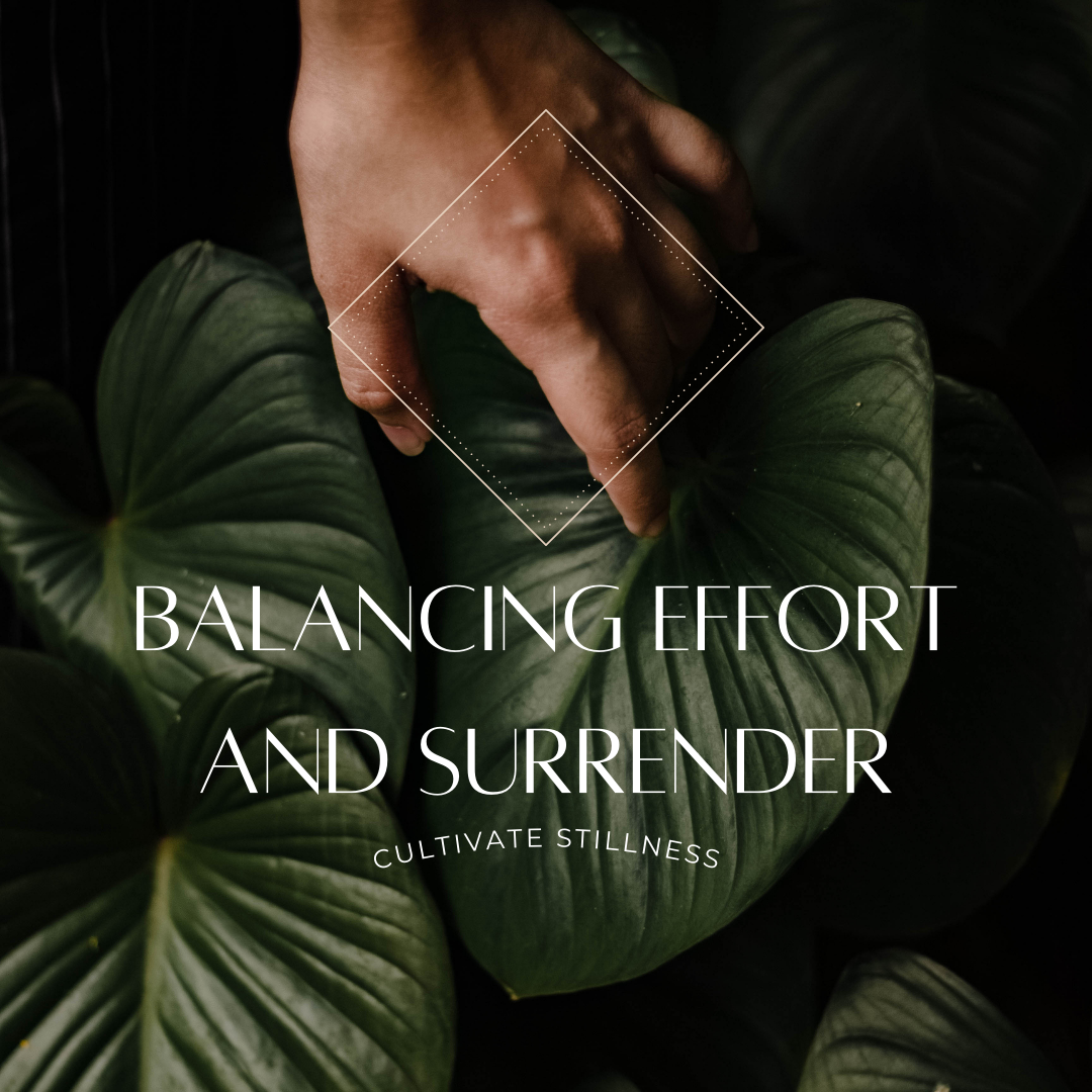 Balancing Effort and Surrender_Yoga Vidya Academy_Lauren Toolin Master Class