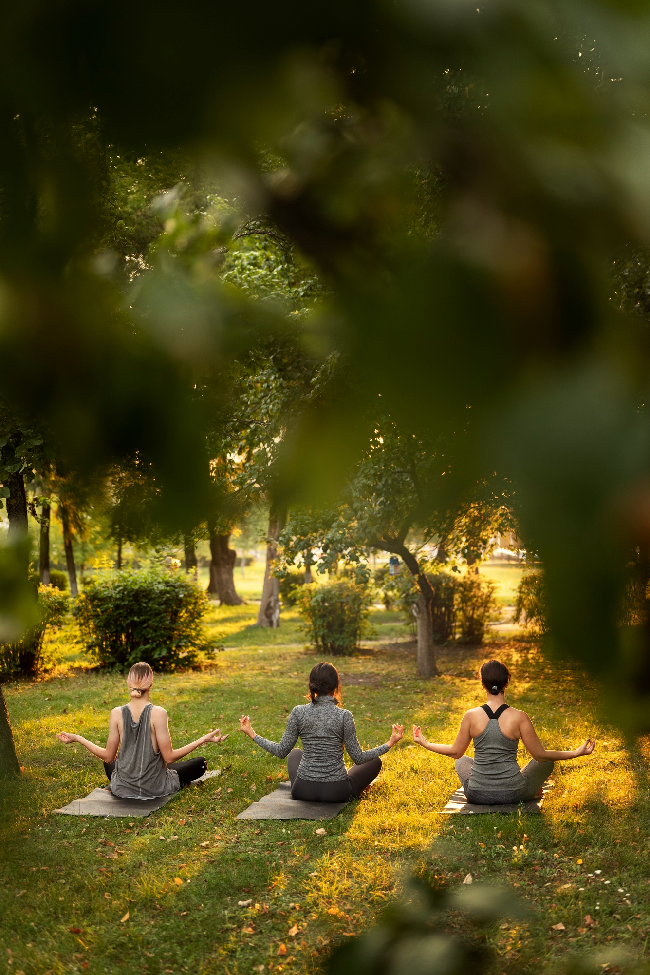 yoga lifestyle and meditation Lauren Toolin Yoga Educator Transition Guide Troy, NY